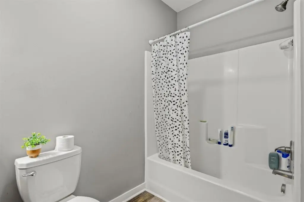 Picture 14