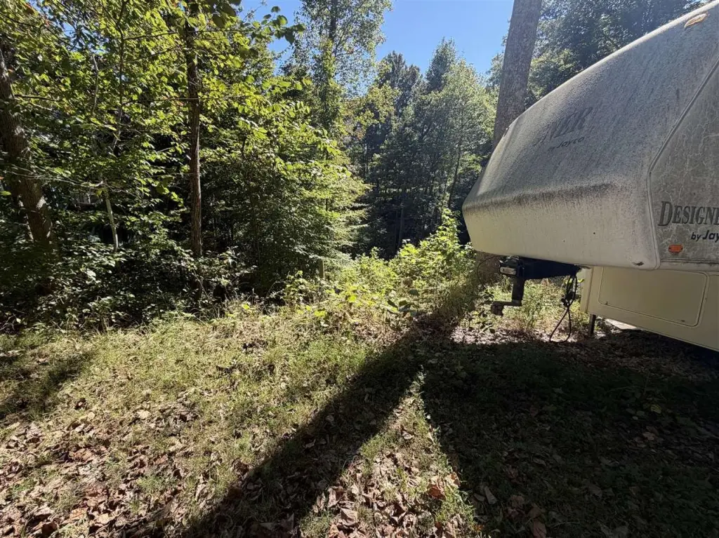 Picture 2