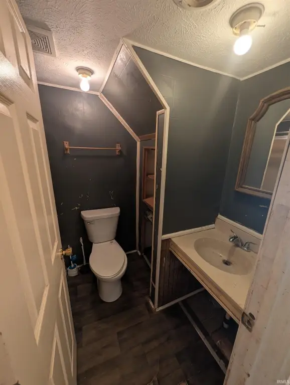 Picture 14