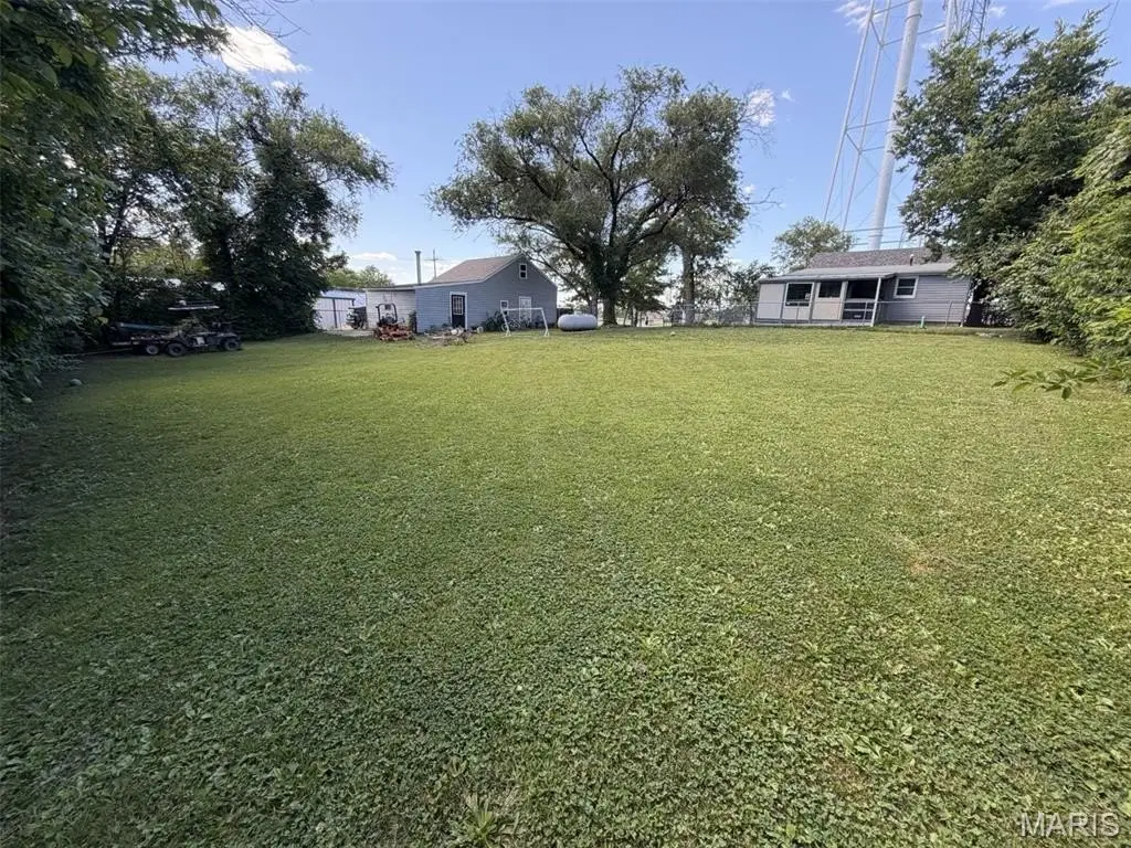 Picture 6