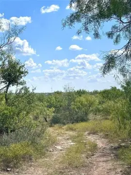 Abilene Ranch Land Opportunity