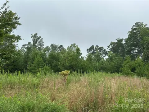 Nebo, NC Building Lot
