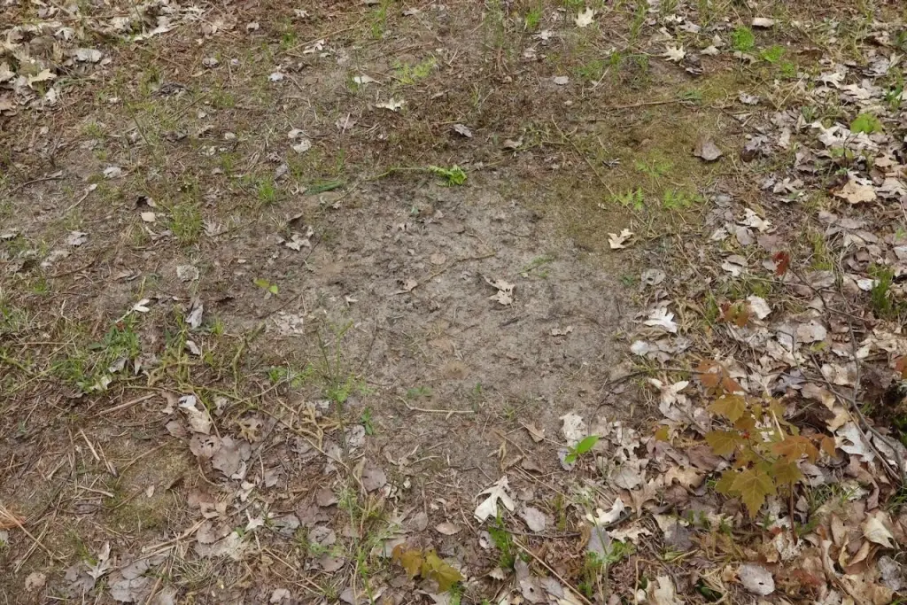 Picture 13