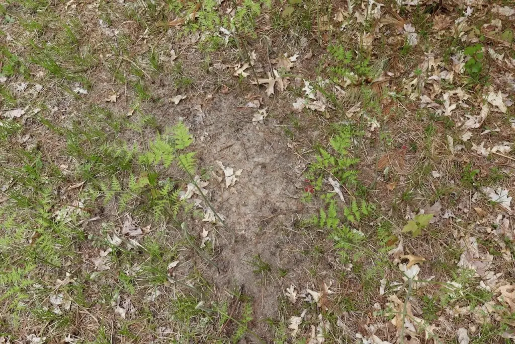 Picture 23