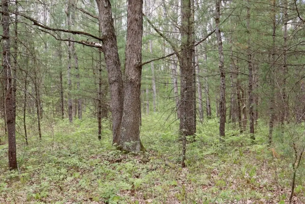 Picture 22