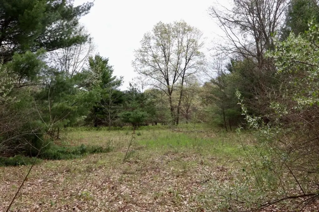 Picture 7
