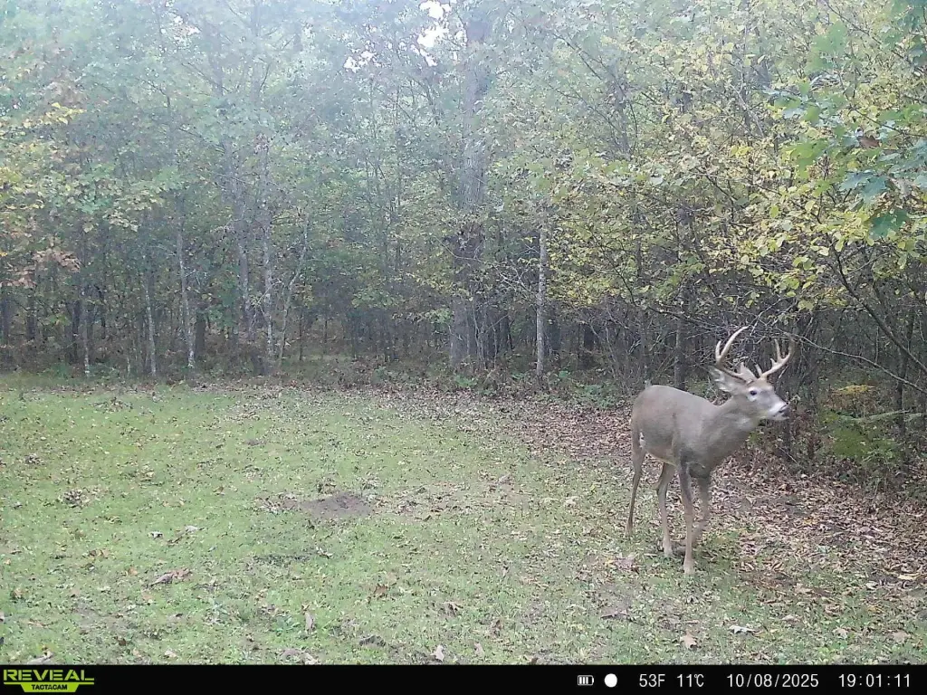 Picture 5