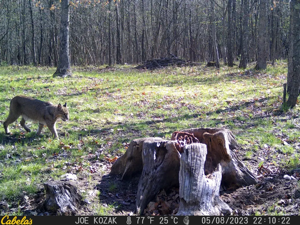 Picture 15