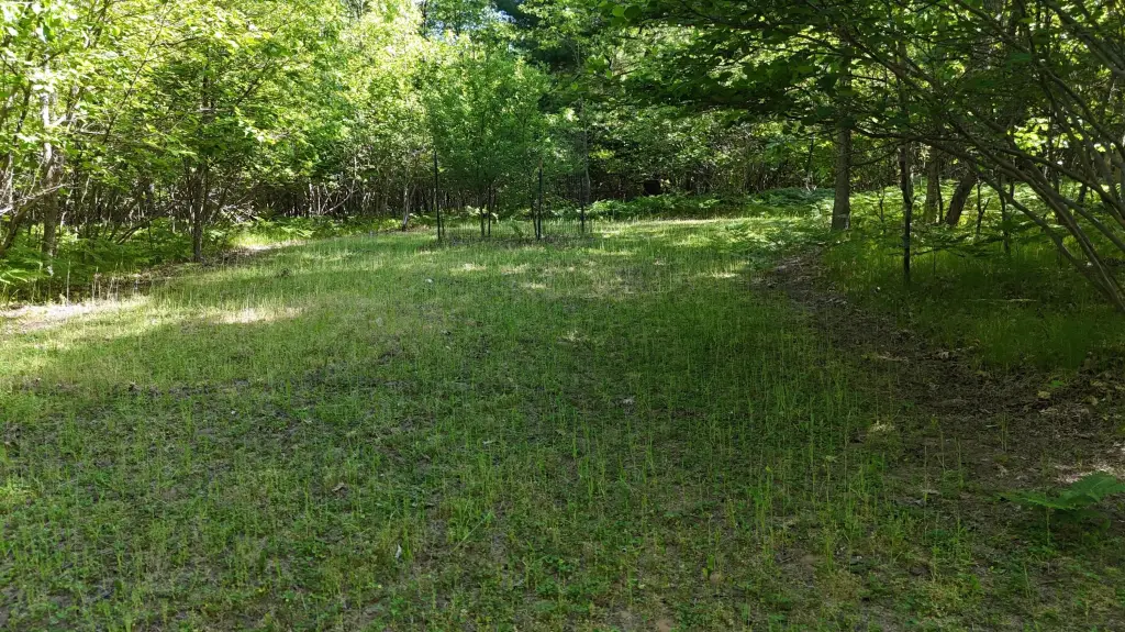 Picture 4