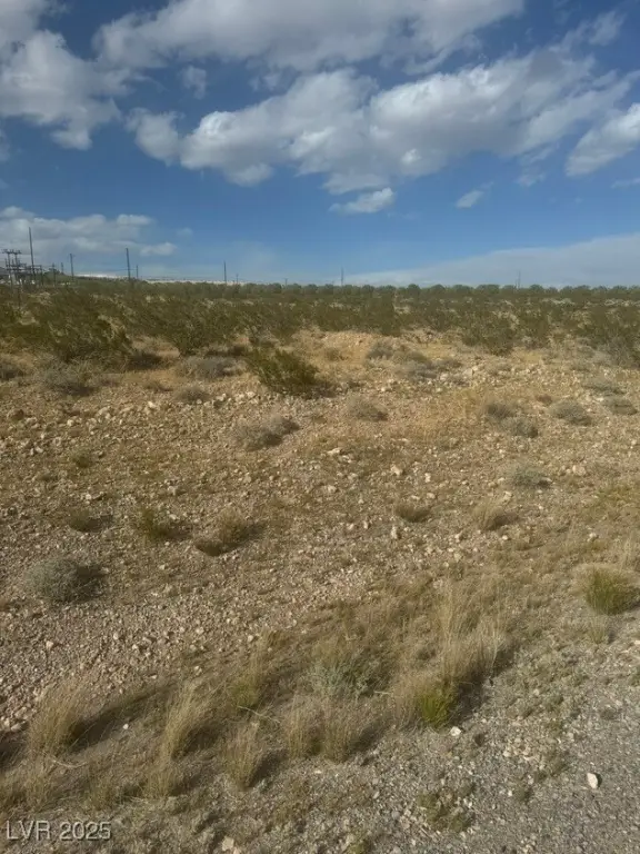 Picture 3