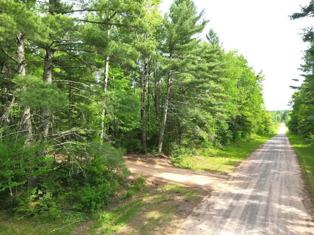 Picture 16