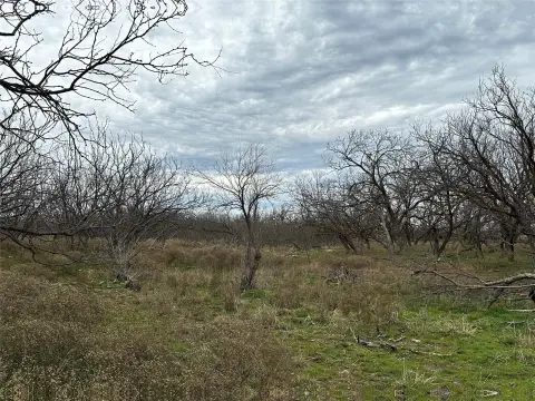 Agricultural Land with Pasture