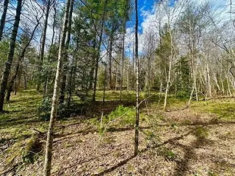Recreation Land with Natural Gas Well