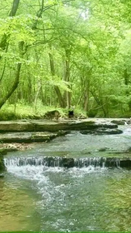 Picture 9