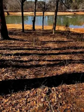 Lake Hartwell Waterfront Lot