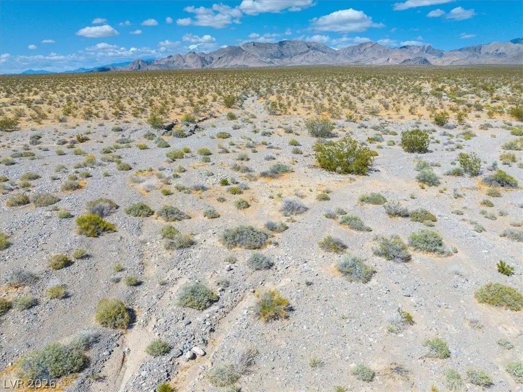 Picture 29