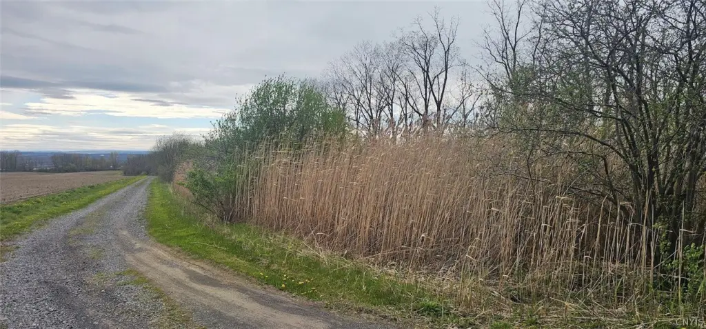 Picture 15