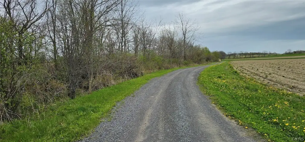 Picture 19