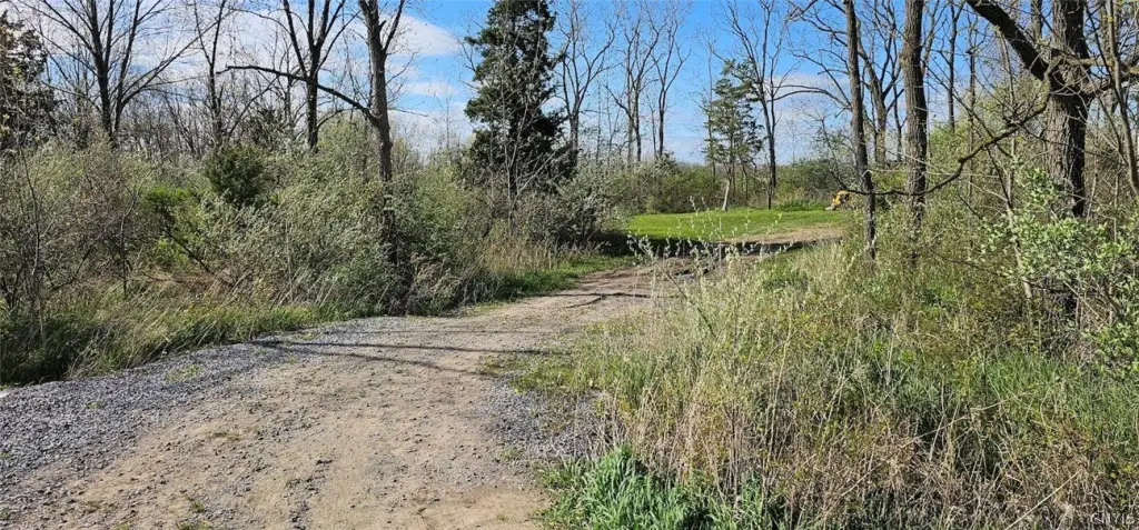 Picture 16