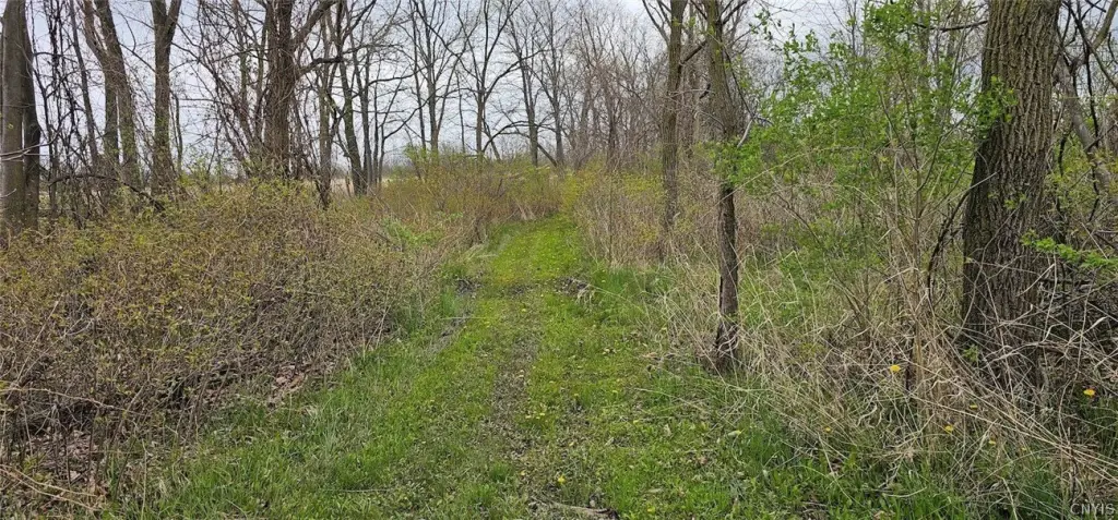 Picture 9