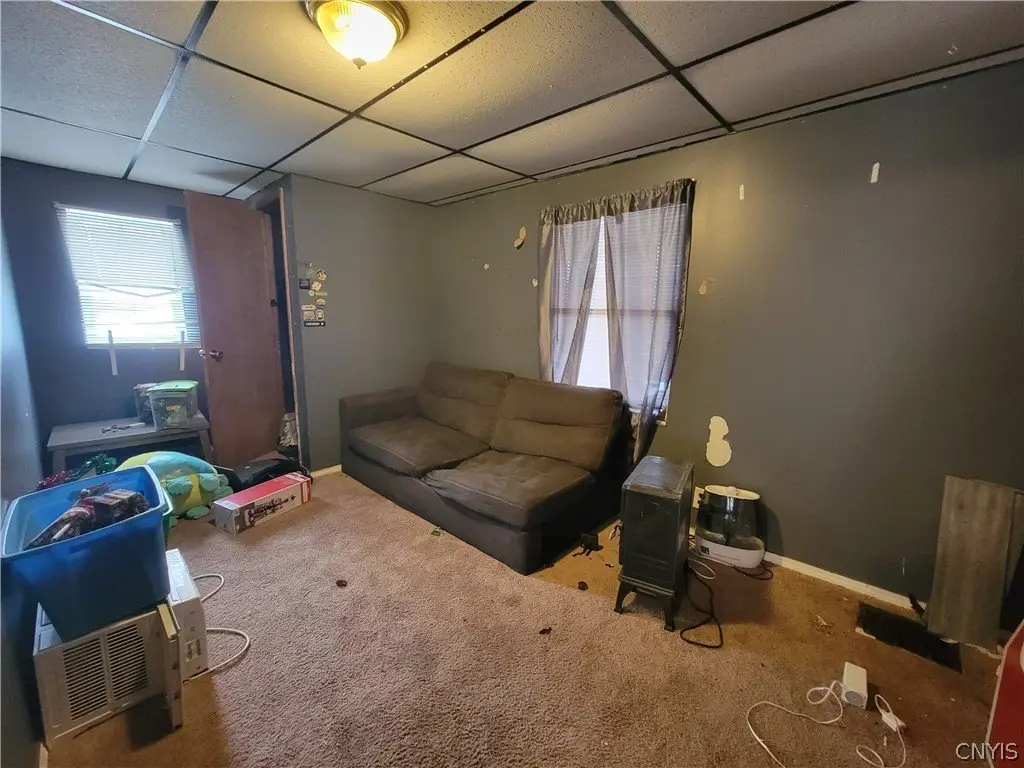 Picture 15