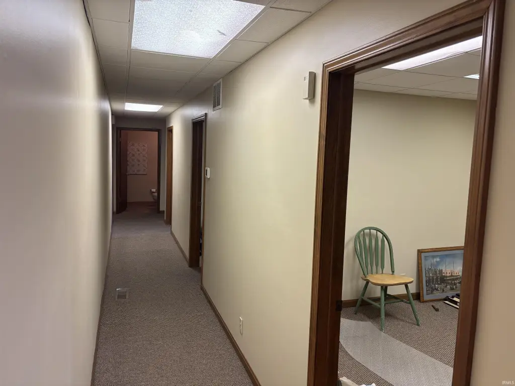 Picture 5