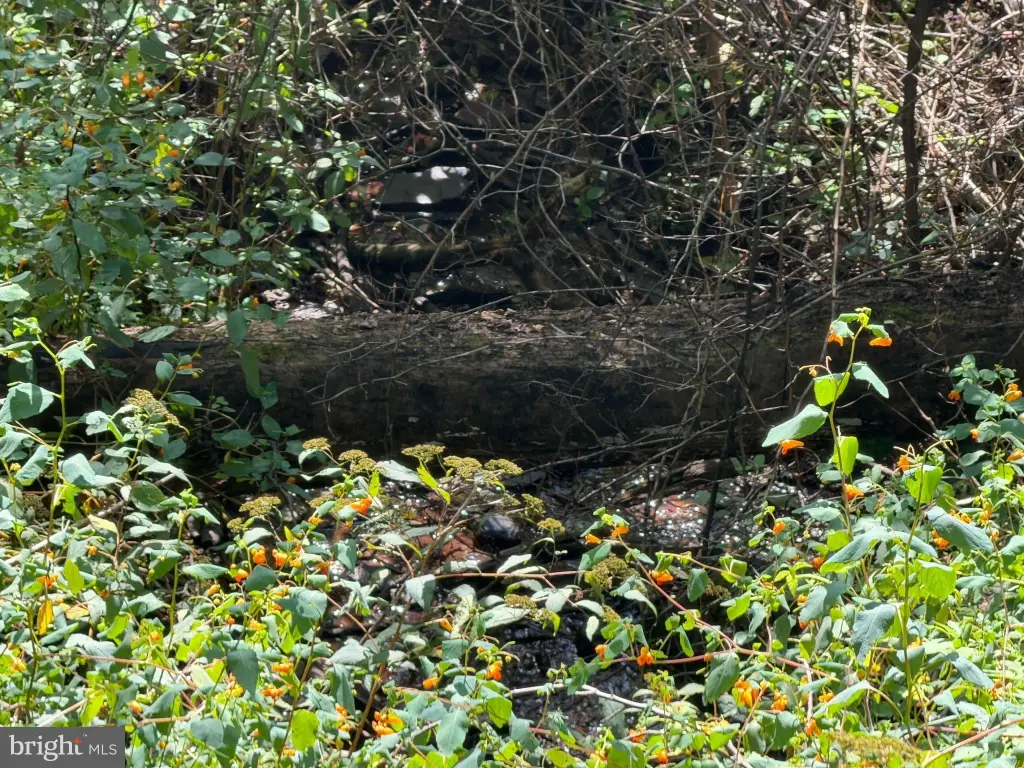 Picture 24