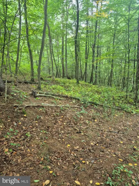 Picture 11