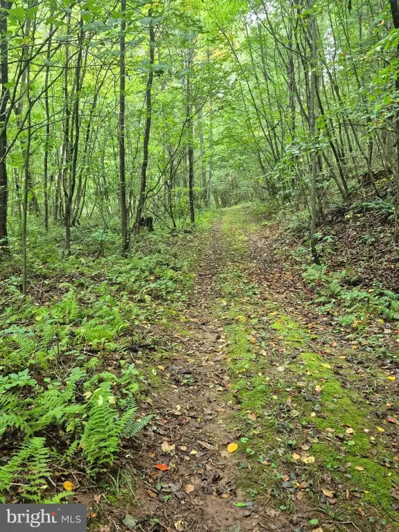 Picture 4