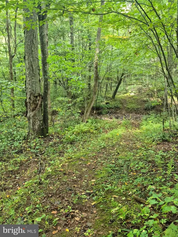 Picture 9