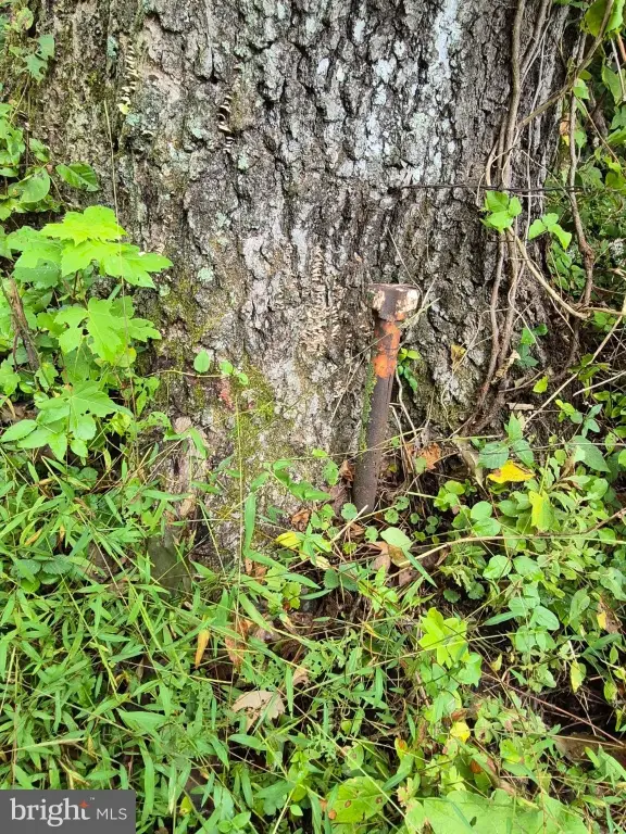 Picture 14