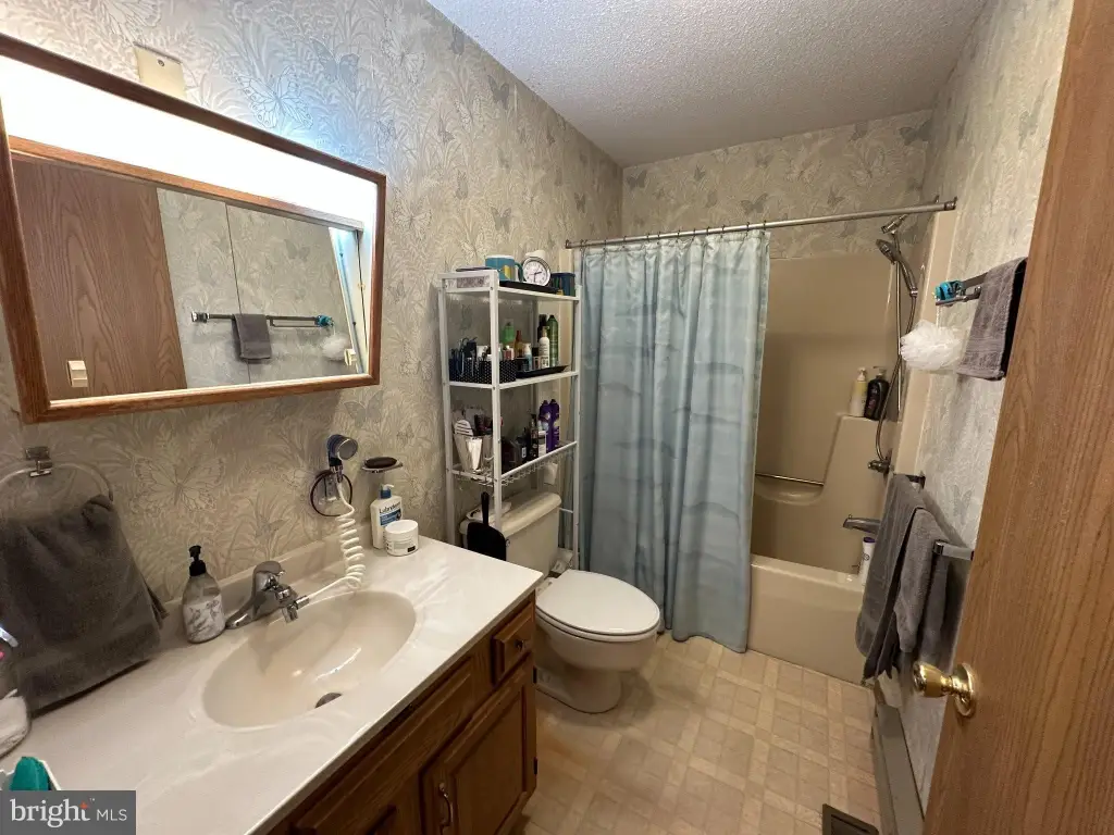 Picture 19
