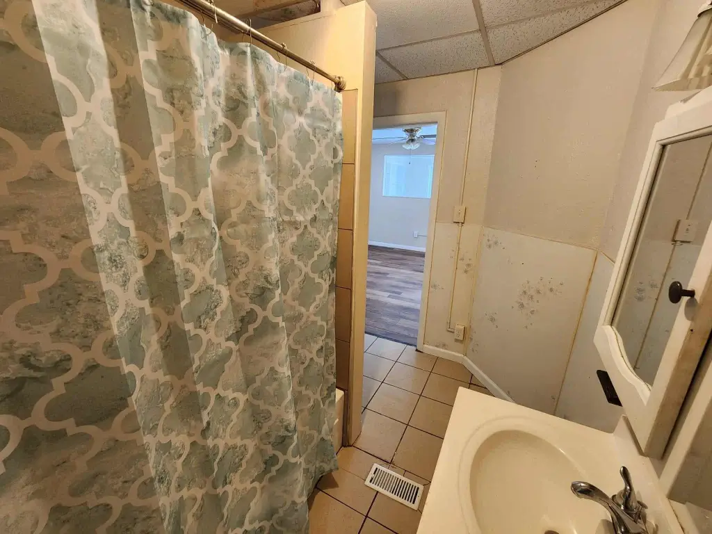 Picture 8