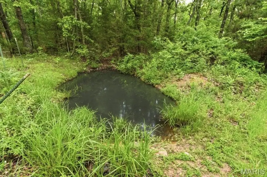 Picture 31