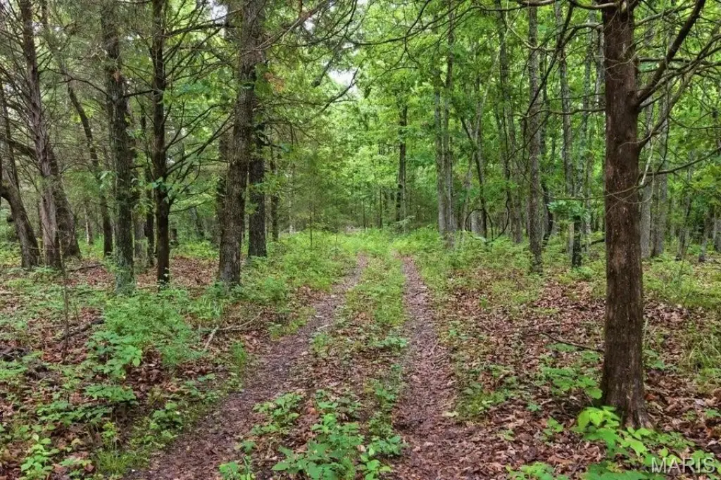 Picture 48