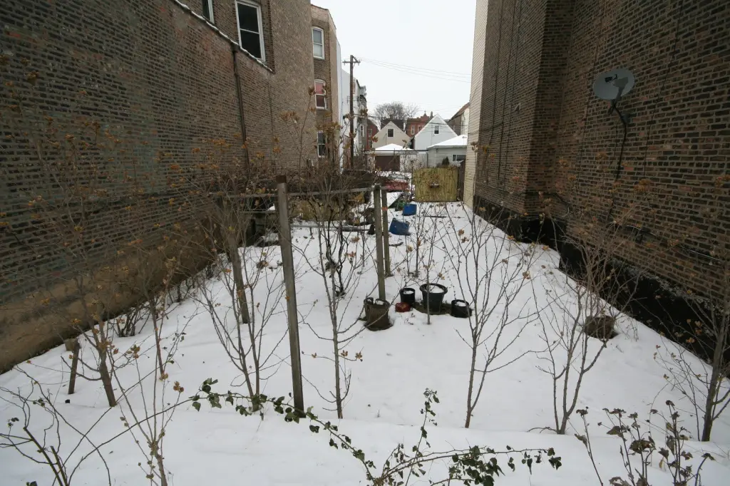 Picture 31