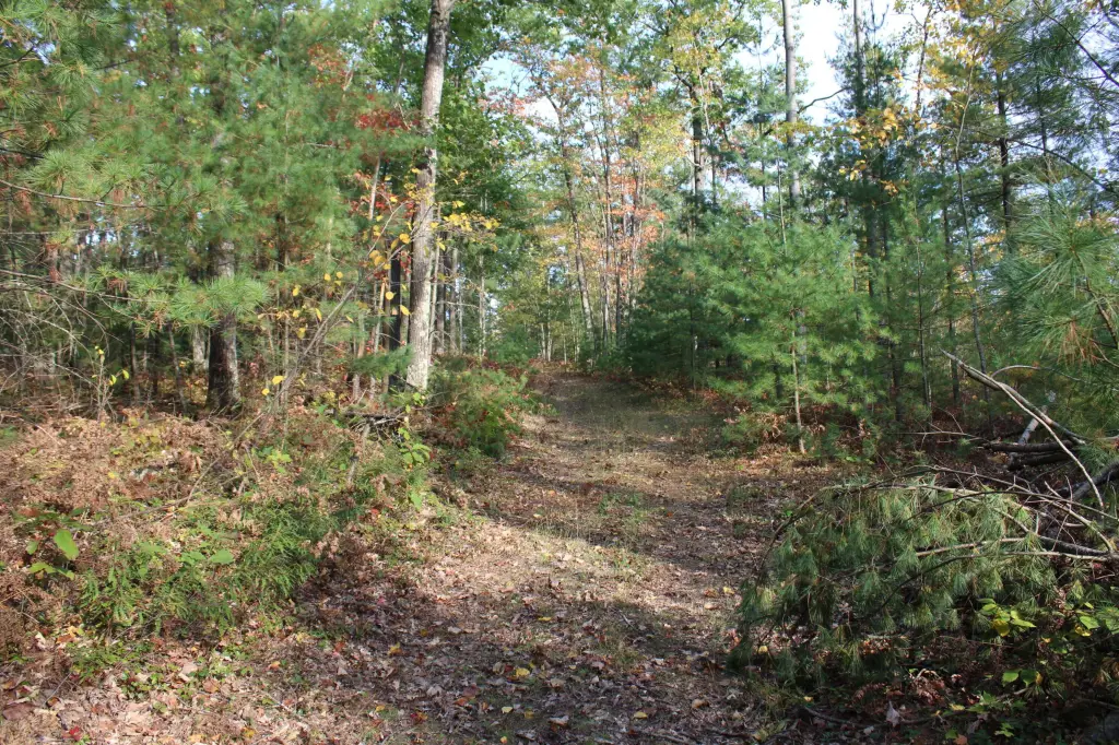 Picture 22