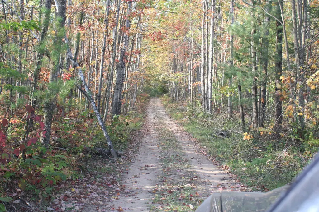 Picture 23