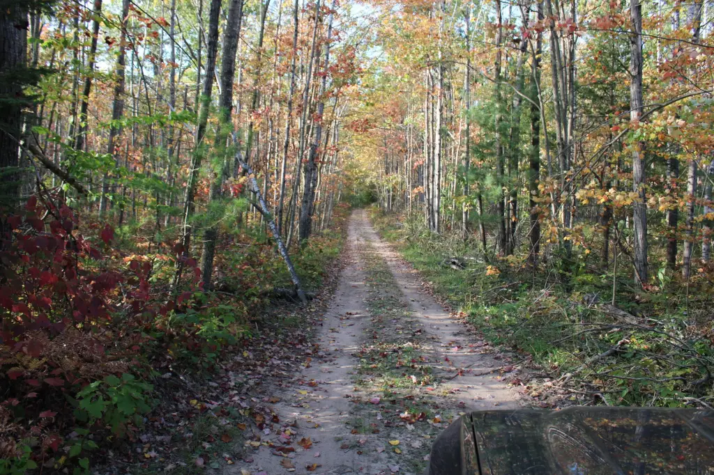 Picture 24