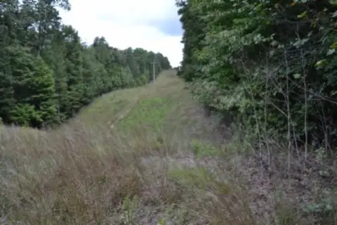 Wooded Hunting Land with Mountain Views