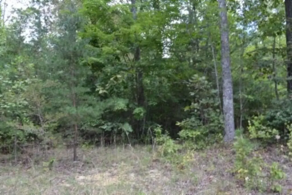 Picture 16