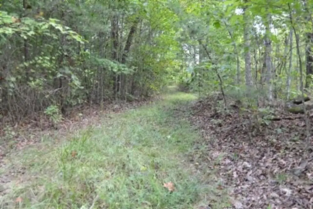 Picture 23