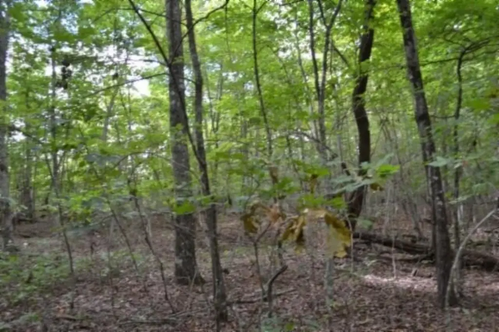 Picture 14