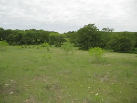 23 Acres of Texas Countryside