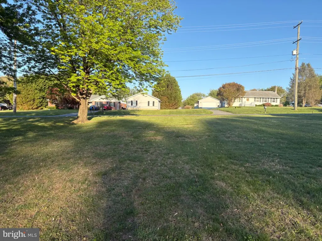 Picture 3