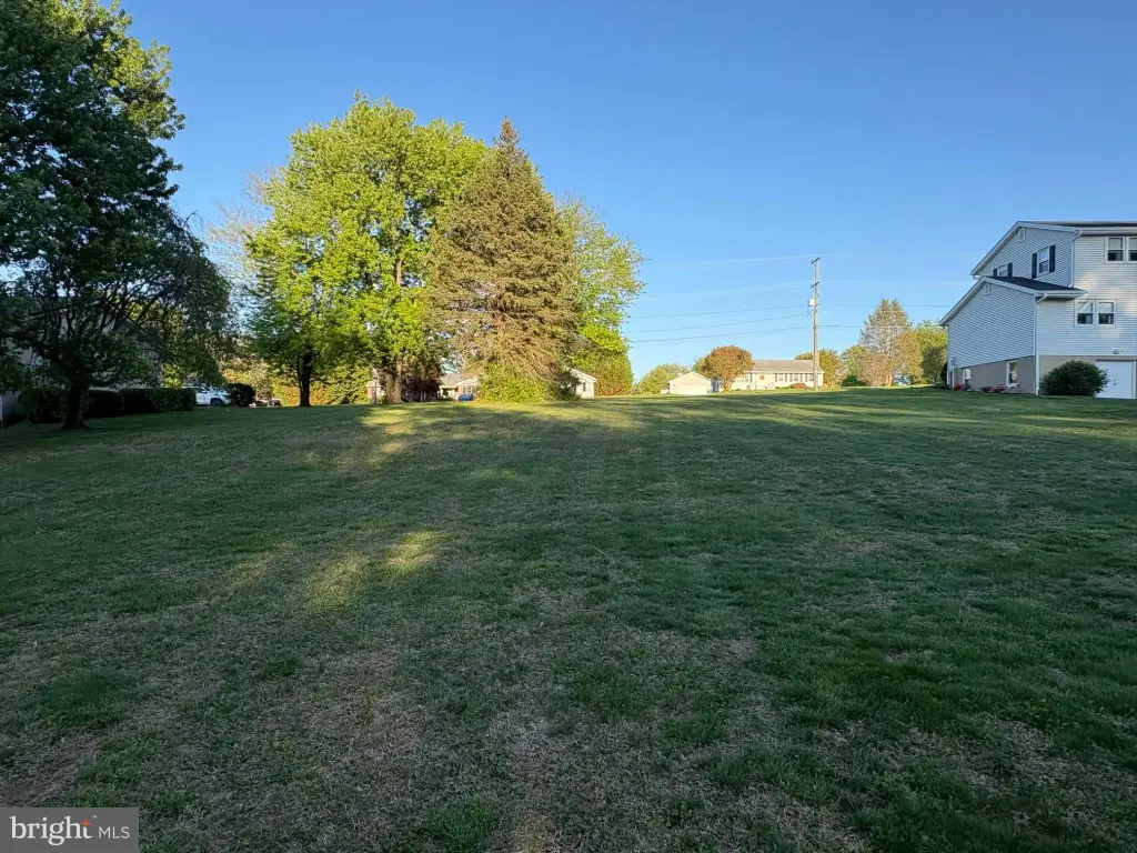 Picture 8