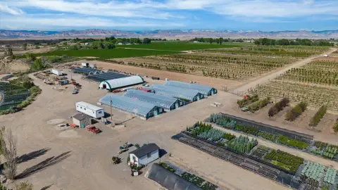 Nursery Property with Greenhouses