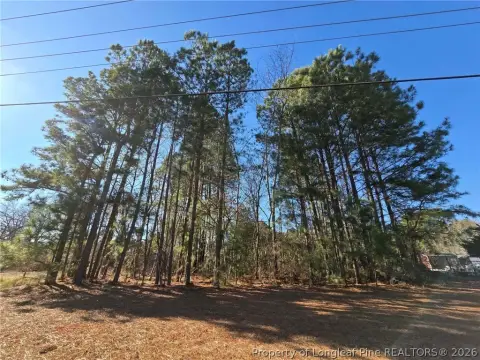 Land Parcel in Spring Lake