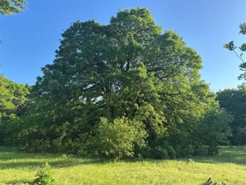 Picture 21