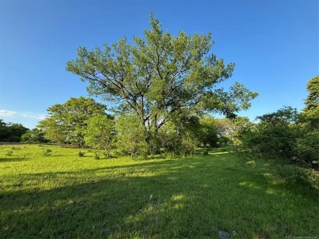 Picture 22